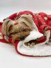 Silly Monkey Ultra-Plush Blanket